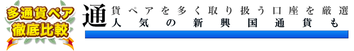 対応通貨数の多いFX口座を比較